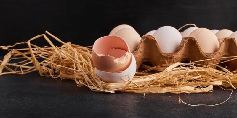 Freepik/azerbaijan_stockers