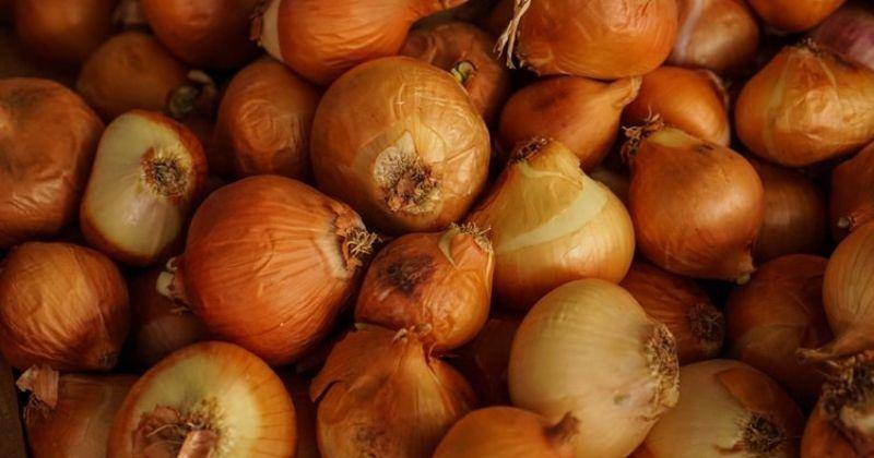 Buat Masakan Enak, Cek Yuk 7 Manfaat Bawang Bombai bagi Kesehatan