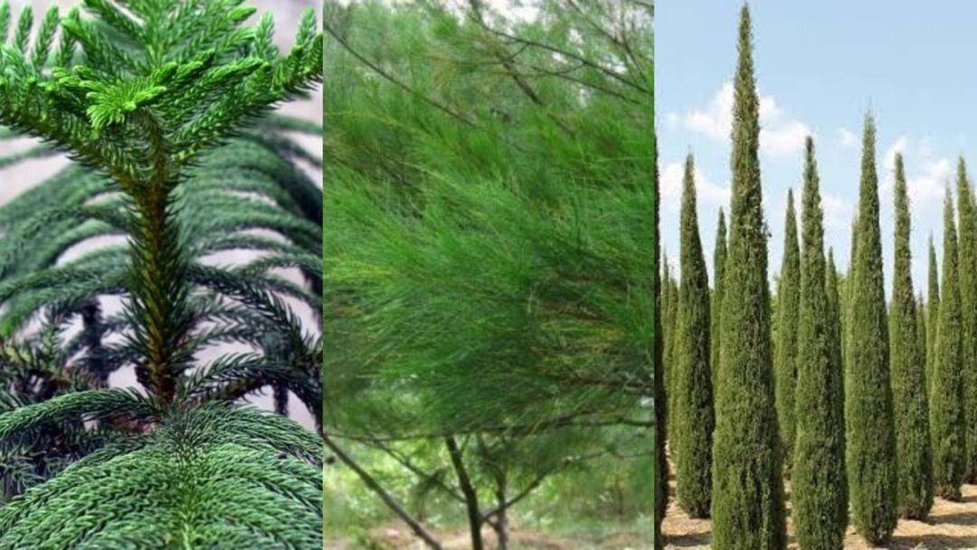 Dok. berbagai sumber