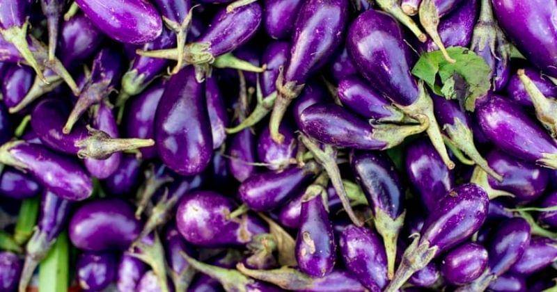 unsplash/PhotographyCourse