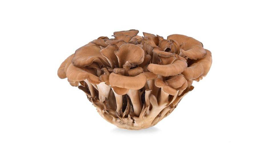 freepik/user25234940