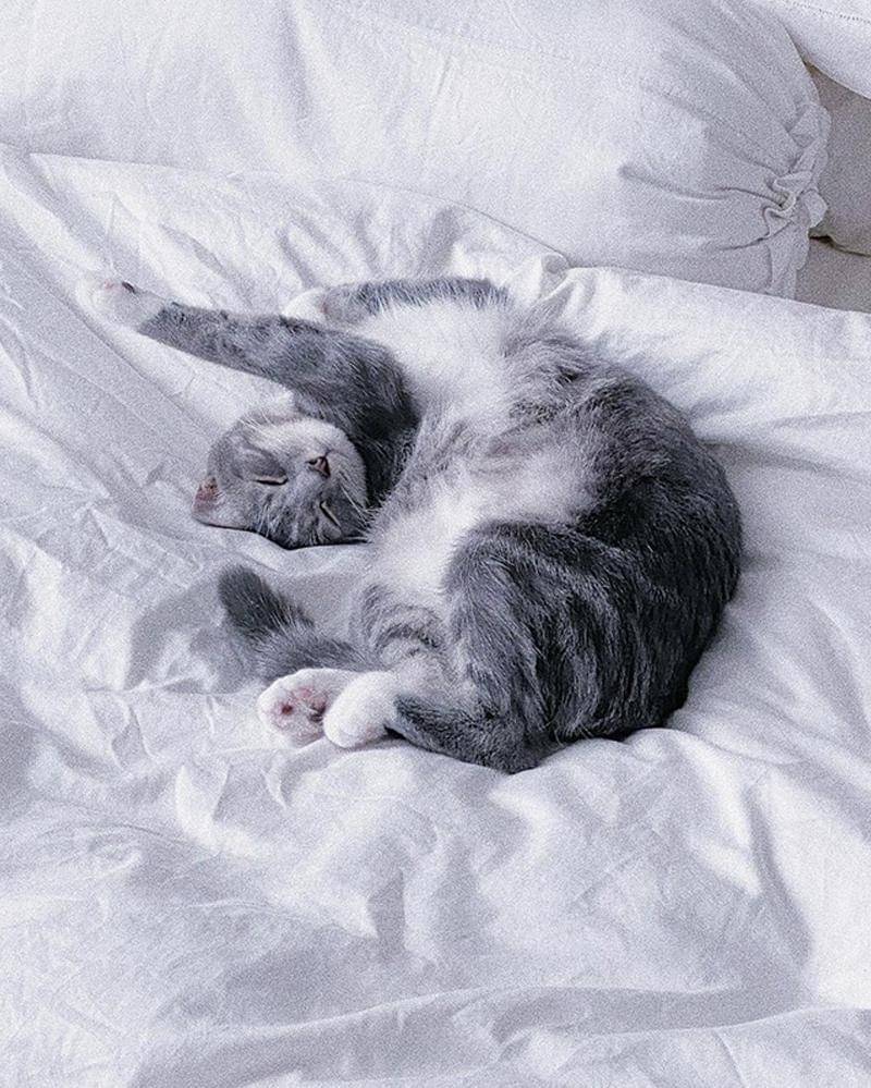 Instagram.com/sherinasinna 