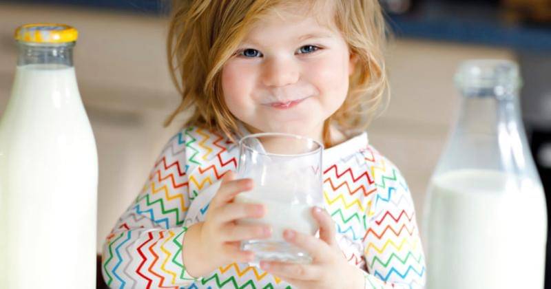 foodbusinessnews.net