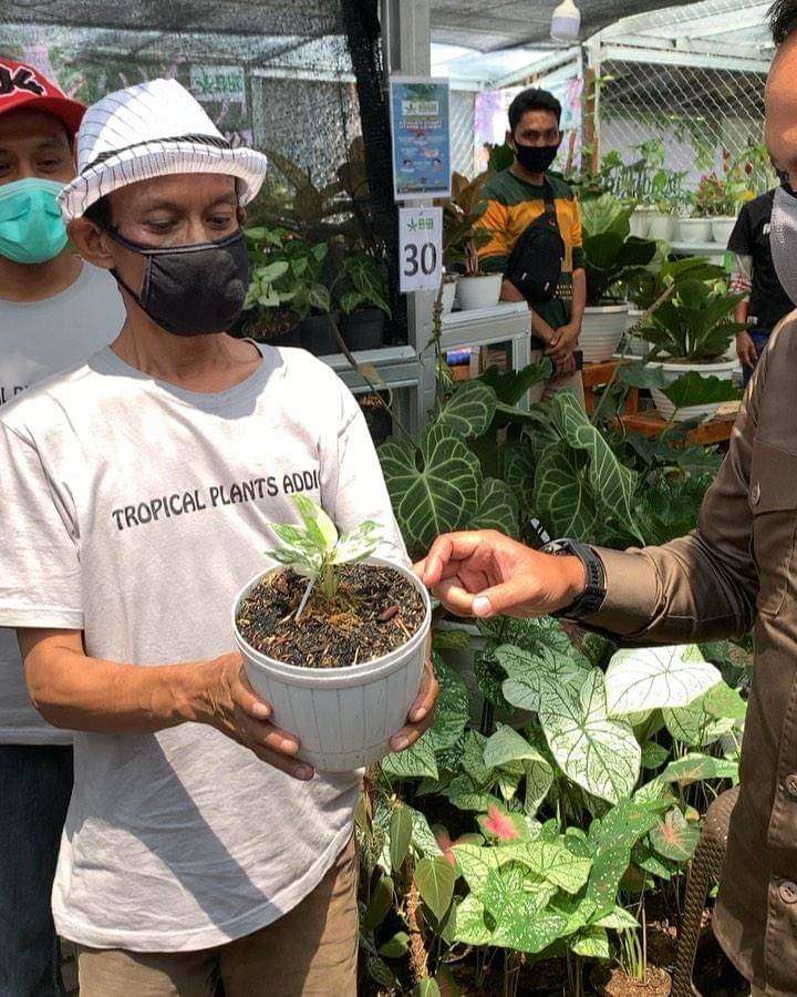 Instagram.com/bimaaryasugiarto