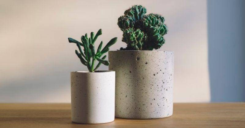 unsplash/freddie marriage