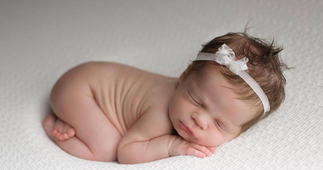 pixabay/predvopredvo