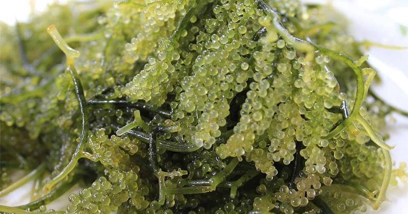 Pixabay/nevillevlogz