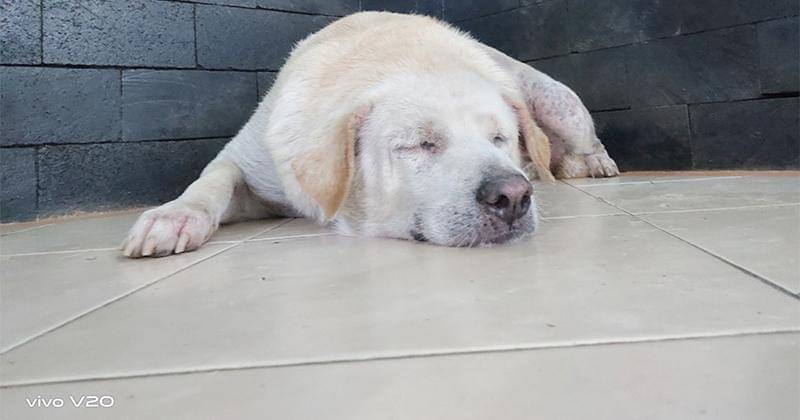 This article supported by vivo as Official Journalist Smartphone Partner IDN Media - Popmama.com/Sandra Ratnasari