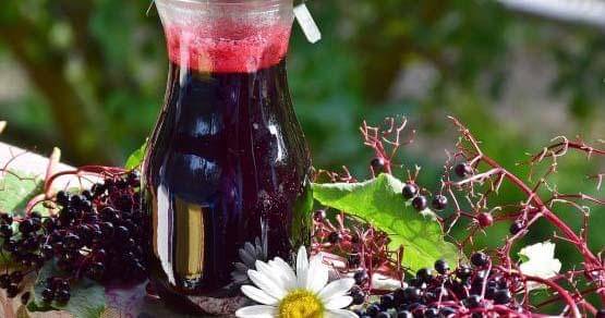 Naturalmedicinejournal.com