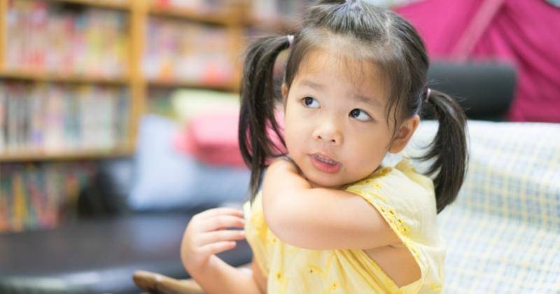 Shutterstock/MIA Studio