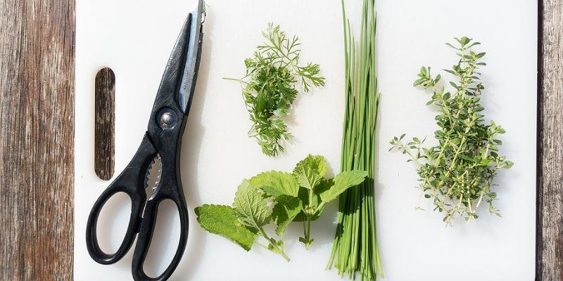 5 Rempah Khas Eropa Ini Sering Digunakan untuk Western Food