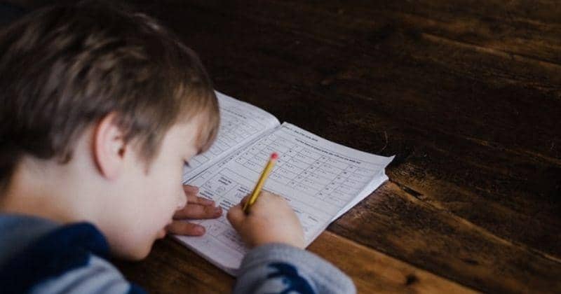 unsplash/Annie Spratt