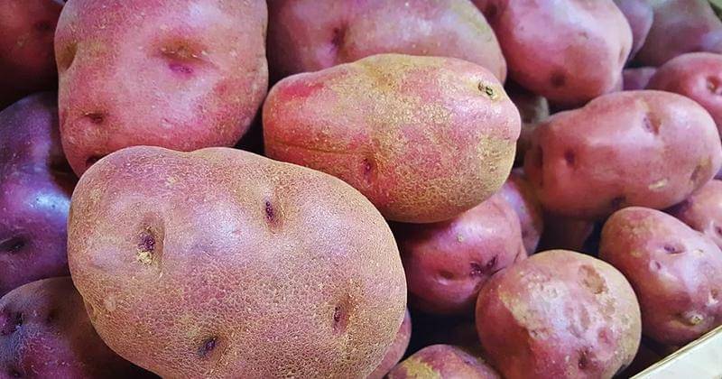 Pixabay/Brett_hondow