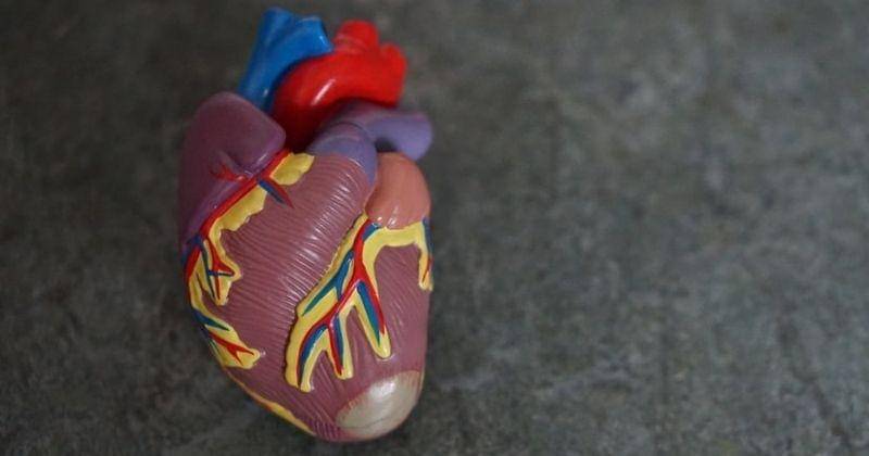 Unsplash/Robina Weermeijer