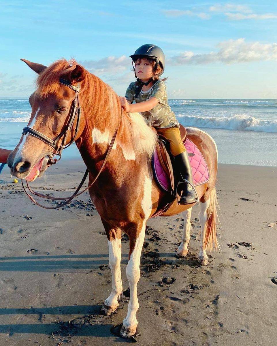 Instagram.com/Alexanderbarackel