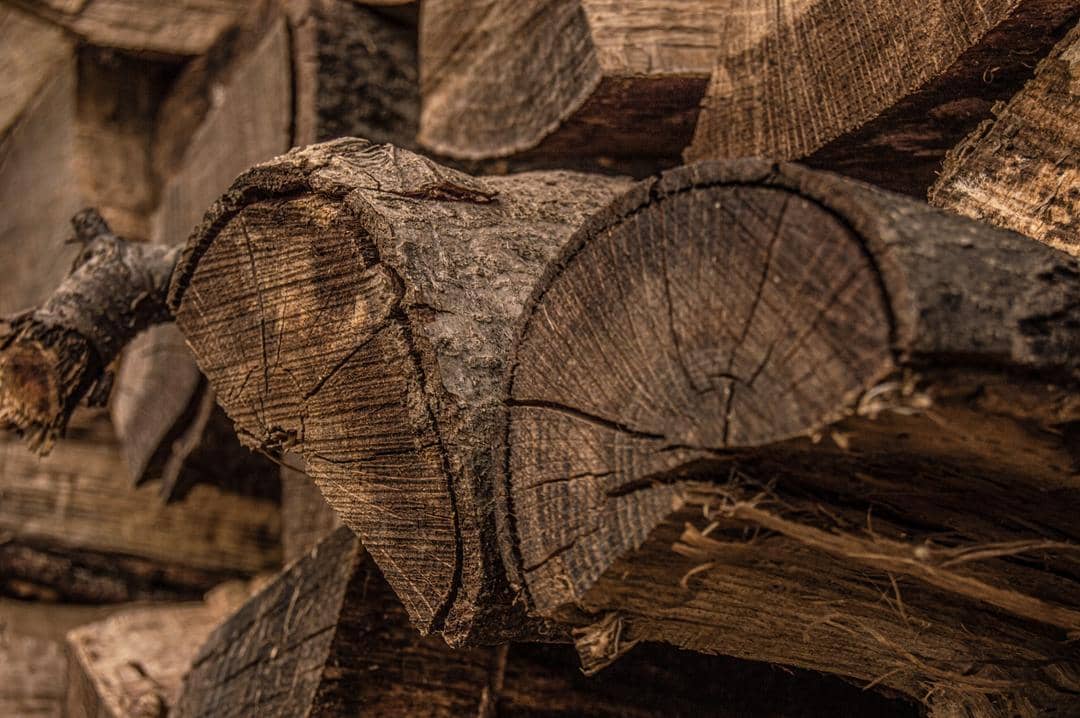 Unsplash/Jesse Balay