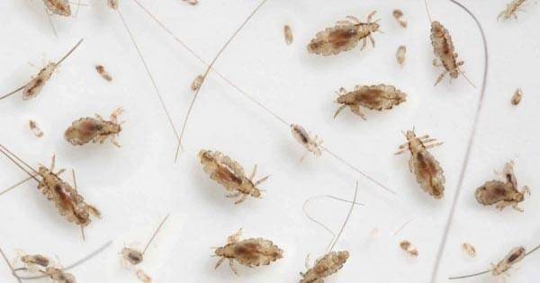 IDN Times/Nena Zakiah