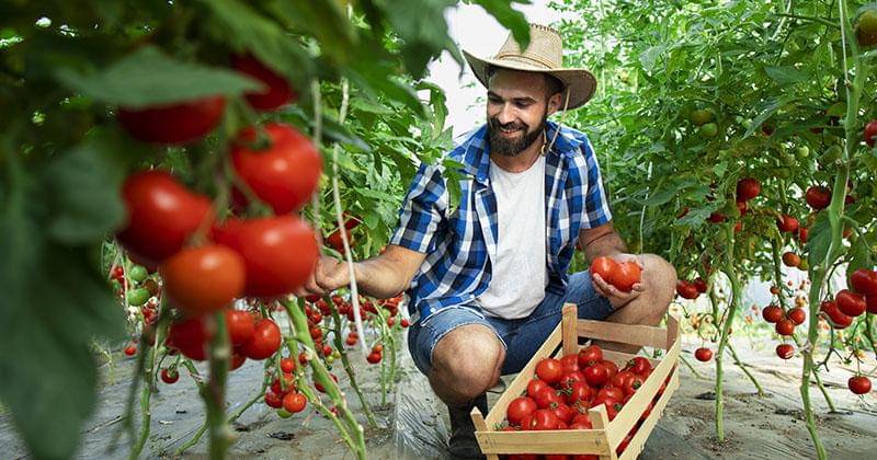 Freepik/aleksandarlittlewolf