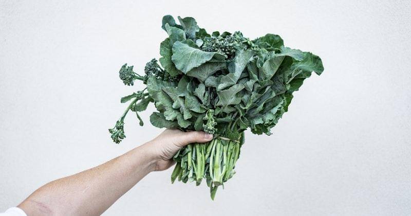 Pexels/Anna Guerrero