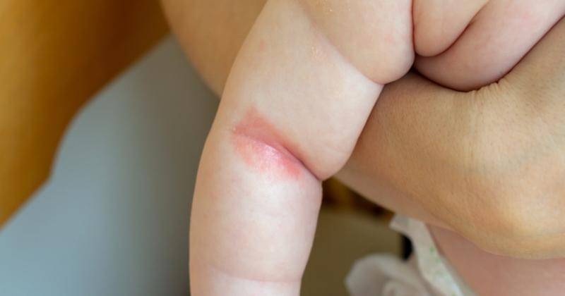 Shutterstock/kwarkot