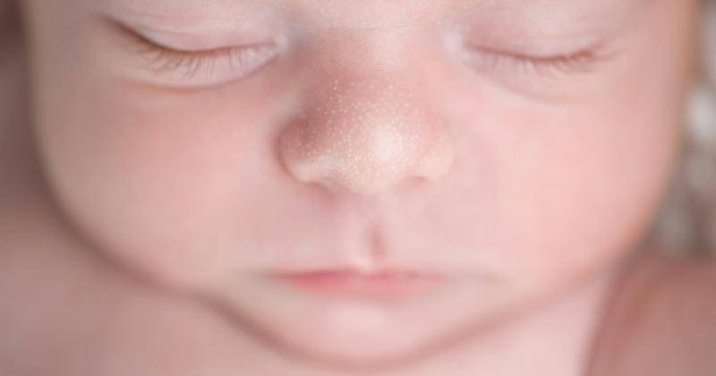 Shutterstock/Katrina Elena