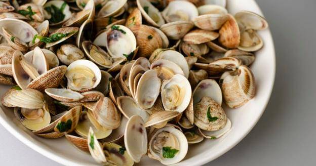 Freepik/Tetiana_tychynska