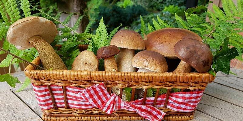 Pixabay/cocoparisienne