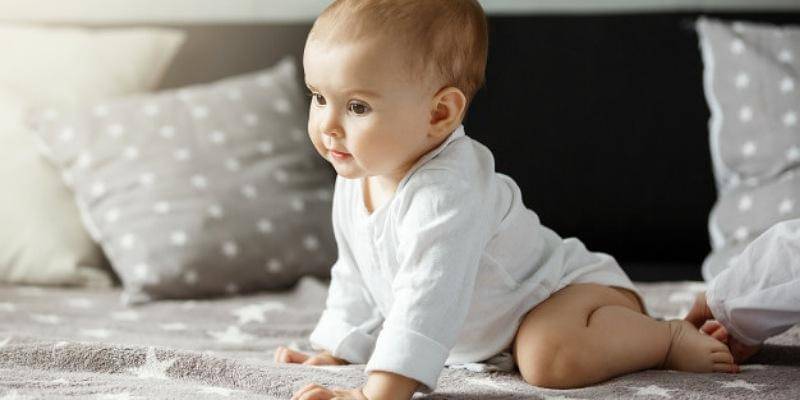 Freepik/cookie_studio