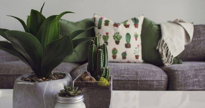 Pexels/Designecologist