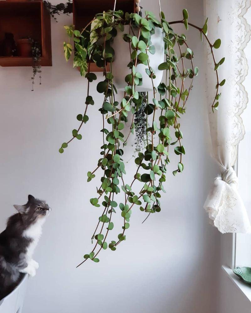 Instgaram.com/frkrydjord