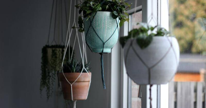 Unsplash/Angèle Kamp