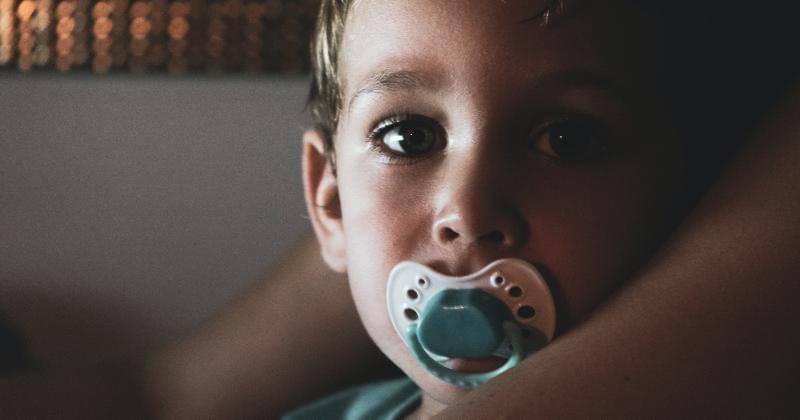 Pexels/Arie van Ravenswaay