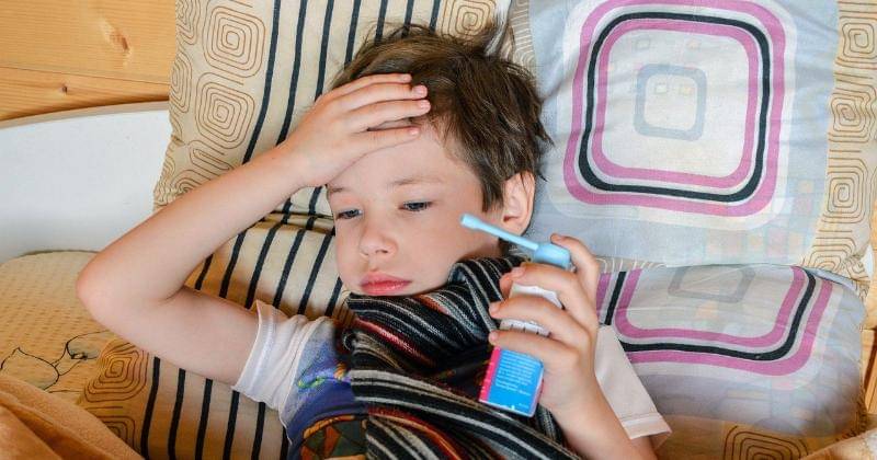 Pixabay/Victoria Borodinova