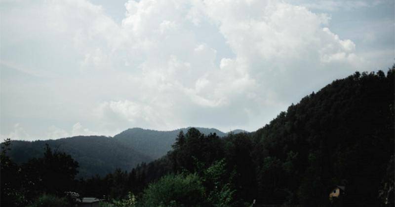 ilustrasi - Freepik/wirestock 