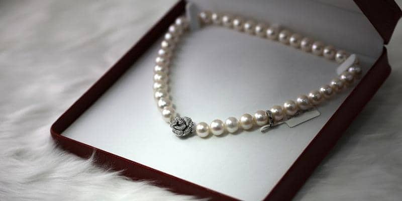 Unsplash/Cornelia Ng