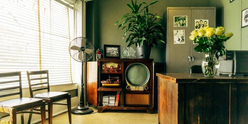 Unsplash/Joshua Ness