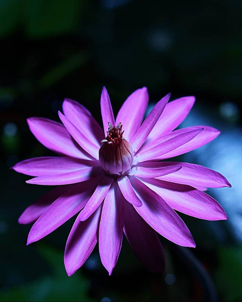 Instagram.com/trisuyarto