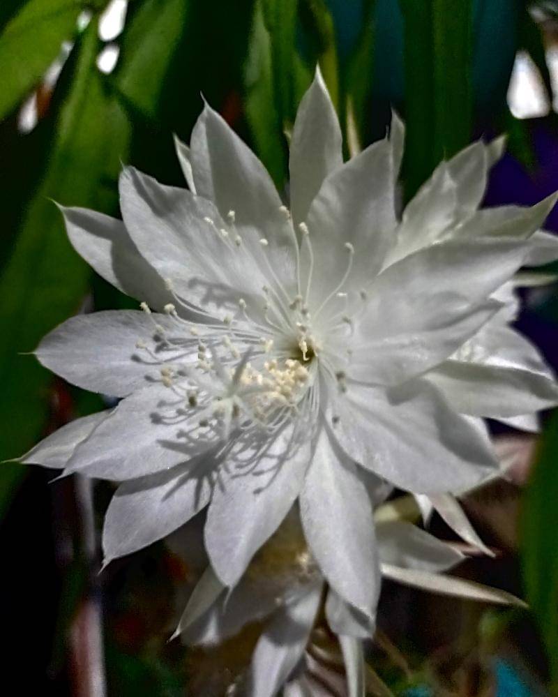 Popmama.com/Bima Bintoro