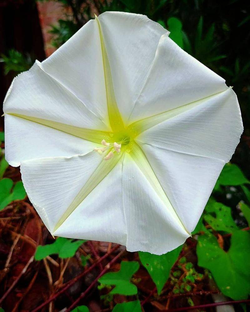 Instagram.com/rob.pereira.sp