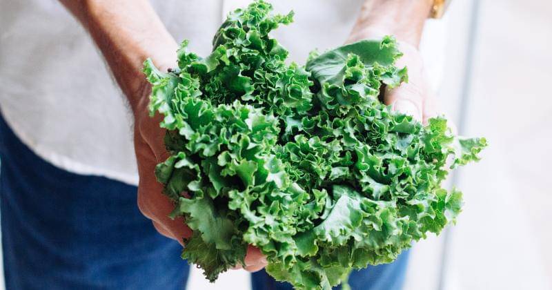 Unsplash/Adolfo Felix