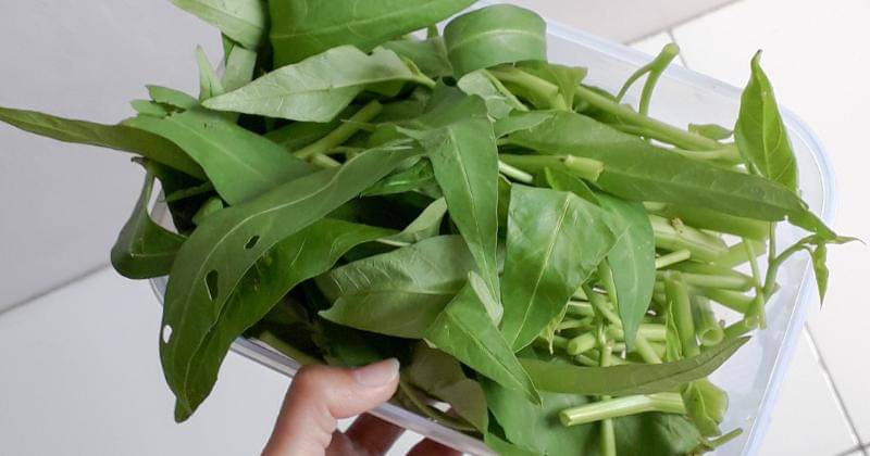 Pexels/Laudia Tysara