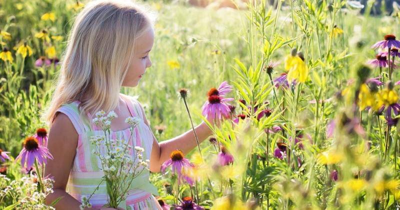 Pixabay/JillWellington