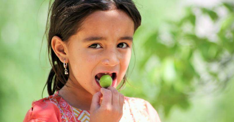 Bergizi, Ini 10 Buah yang Mengandung Vitamin E untuk Anak