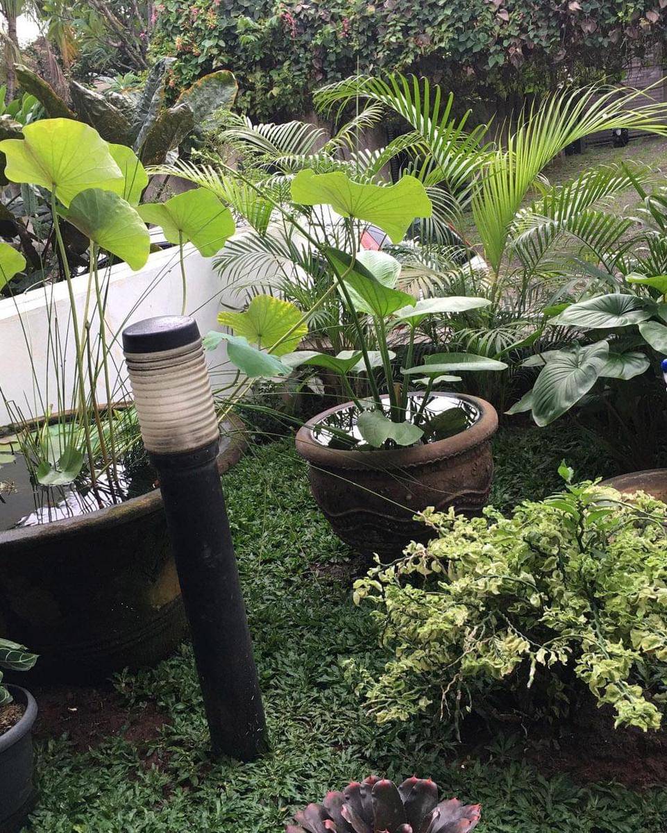 Instagram.com/meidianahutomo