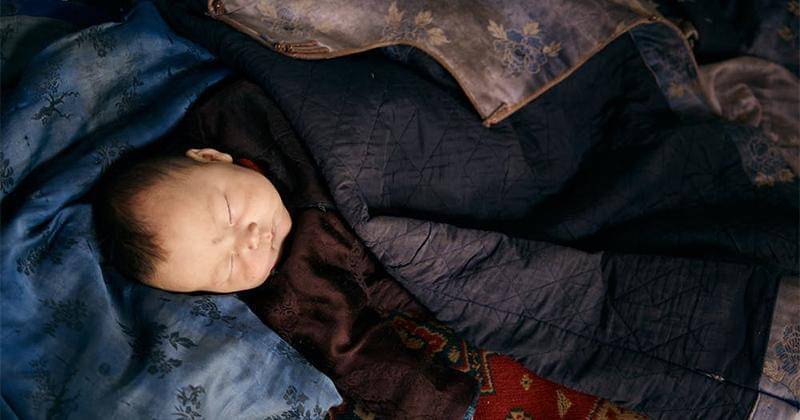 Pexels/Nick Bondarev 