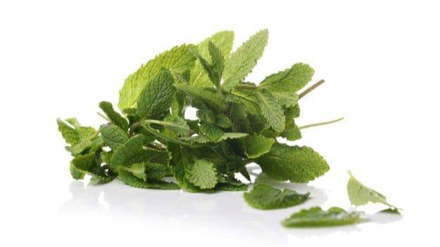 Freepik/Racool_studio