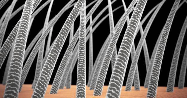 Freepik/GiovanniCancemi