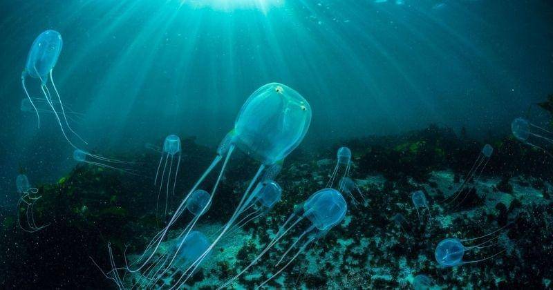 nationalgeographic.co.uk