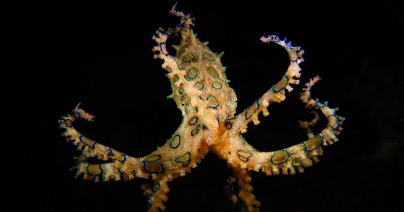 unsplash/Kris Mikael Krister