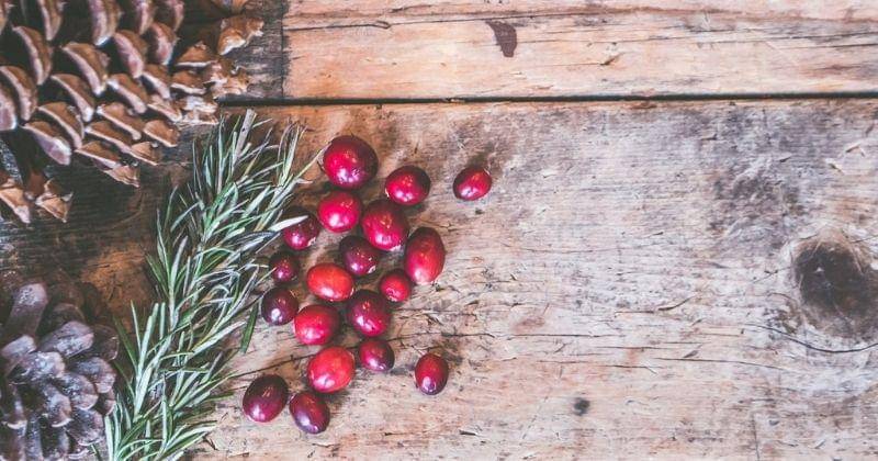 Pexels/Jessica Lewis